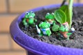 Green toys frogs gardening decor