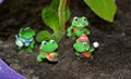 Green toys frogs gardening decor