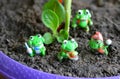 Green toys frogs gardening decor