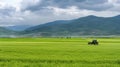 A green tractor is working in a field of wheat. The wheat is growing tall and green. The sky is blue with white clouds Royalty Free Stock Photo