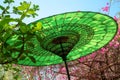 Green traditional burmese umbrella in garden, Burma Myanmar