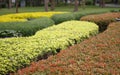 Green traditional maze with hut. Royalty Free Stock Photo