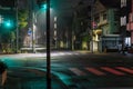 Green traffic light in mist over empty intersection and sidewalk at night Royalty Free Stock Photo