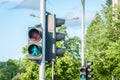 Green traffic light signal for pedestrians on the crosswalk in the city