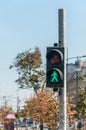 Green traffic light signal for pedestrians on the crosswalk road in the city