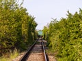 Green train on the horizin Royalty Free Stock Photo