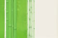 Green Tranquility: Bamboo Elegance on a Subtle Light Green Canvas. Royalty Free Stock Photo