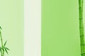 Green Tranquility: Bamboo Elegance on a Subtle Light Green Canvas. Royalty Free Stock Photo