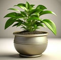Green Tranquility: 3D Interior Home Plant Pot for Stylish and Serene Living Spaces.