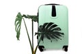 Tropical leaves luggage big bag green white background pot travel suitcase baggage black isolated