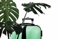 Tropical leaves luggage big bag green white background pot travel suitcase baggage black isolated