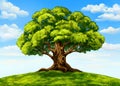 Green tree against a blue sky with clouds, beautiful nature, hand drawn sketch art illustration painted with watercolors