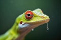 green tree anole with bright dewlap in rainforest