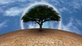 Green tree in arid land Royalty Free Stock Photo