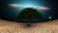 Green tree in arid land Royalty Free Stock Photo