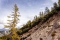 Green tree autumn fall forest, mountain hill in Julijske Alpe, Alpi Giulie, Julian Alps, Slovenia Slovenija Royalty Free Stock Photo