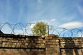 Green tree behind jail barbed wire brown brick fence, spring sunny landscape with blue sky