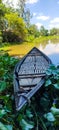 green tree with blue sky background, Hyacinth flowers and a boat on pond