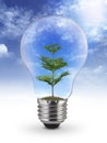 Green tree on blue sky inside of light bulb on White Background, Inspiration concept Royalty Free Stock Photo