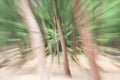 Green Of Tree Blurred Background, Speed Lens Zoom Effect
