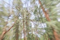Green Of Tree Blurred Background, Speed Zoom Effect