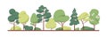 Green Tree Border. Forest Foliage And Coniferous Plants In Row. Mixed Wood Panorama With Stylized Fir, Poplar Trunks And