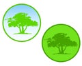 Green Tree Circle Icons or Logos Royalty Free Stock Photo