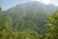 Green tree clad mountain Royalty Free Stock Photo