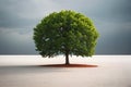 Green tree in the desert with stormy sky