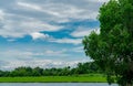 Green tree forest behind pond. Beautiful landscape view of lake with blue sky and white fluffy clouds. Green tree and grass field Royalty Free Stock Photo