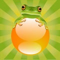 Green Tree Frog