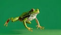 Green tree frog leaps across a vibrant green background showcasing its unique amphibian features and texture Royalty Free Stock Photo