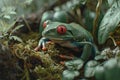Green tree frog with red eyes, America, AI generated Royalty Free Stock Photo