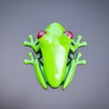 Green tree frog with red eyes Royalty Free Stock Photo