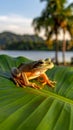 Green Tree Frog Rests on a Large Green Leaf by a Tropical Lake at Sunset Royalty Free Stock Photo