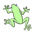 Green tree frog silhouette. Vector. Royalty Free Stock Photo