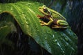 Green Tree Frog under Rain on a Big Leaf extreme closeup. Generative AI Royalty Free Stock Photo