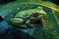 Green Tree Frog under Rain on a Big Leaf extreme closeup. Generative AI Royalty Free Stock Photo