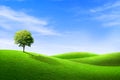 Green tree on grass meadow field and little hill. Royalty Free Stock Photo