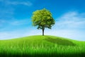 Green tree on grass meadow field and little hill with white clouds and blue sky. Royalty Free Stock Photo