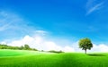 Green Tree With Grass Meadow Field And Little Hill With White Clouds And Blue Sky In Summer Seasonal.
