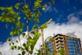 Green tree and growing building