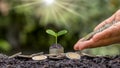 A green tree growing on a pile of coins and a hand that sends coins to the tree with the concept of economic. Royalty Free Stock Photo