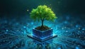 Green tree grows on digital cube above circuit board. Tech and nature connect. Computing ethics, CSR. Eco tech solutions, Royalty Free Stock Photo