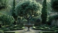 The green tree grows in the formal garden, surrounded by nature beauty
