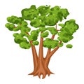 Green tree icon, bright landscape and wood