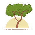 Green tree icon vector. Line color nature symbol isolated Royalty Free Stock Photo