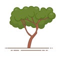 Green tree icon vector. Line color nature symbol isolated Royalty Free Stock Photo