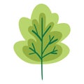 Green Tree Illustration Flat Design Icon Vector Template Royalty Free Stock Photo