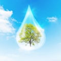 Green Tree inside a clean drop of water